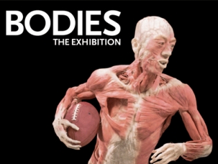 Banner for Bodies The Exhibition