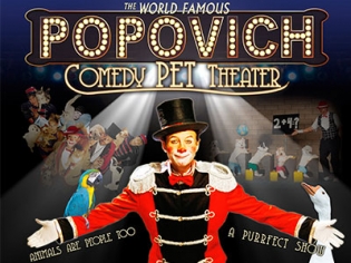 Popovich Pet Theater